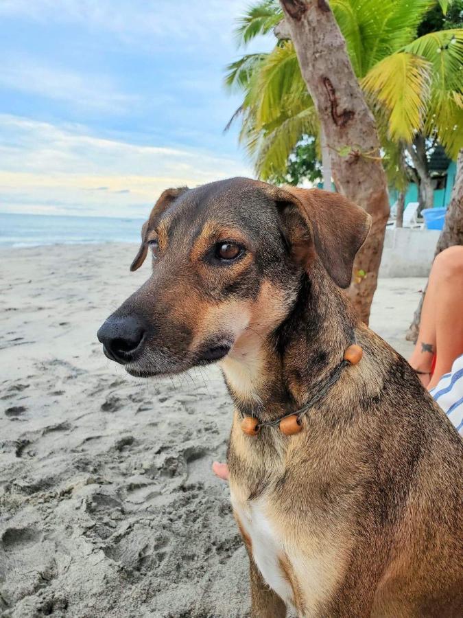 Taca Tucan Hostel Playa Blanca  Zewnętrze zdjęcie